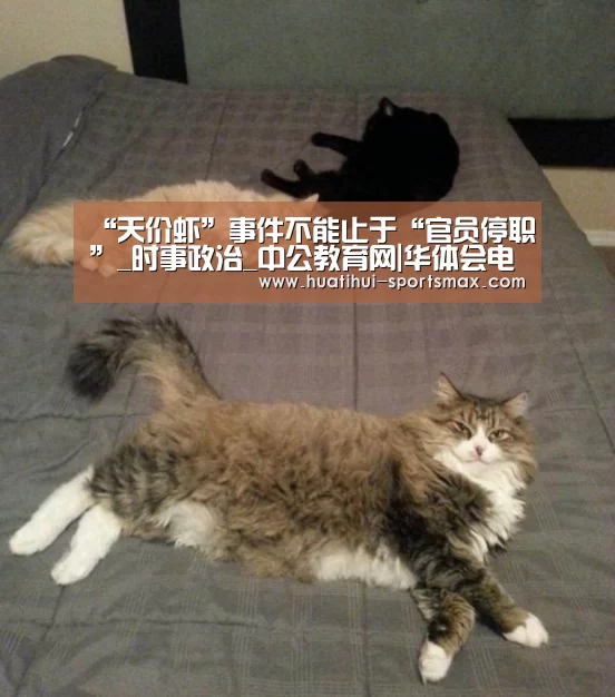 华体会电竞竞猜平台