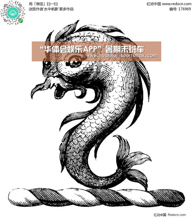 “华体会娱乐APP”暑期末班车(图1) 华体会电竞赛事直播
